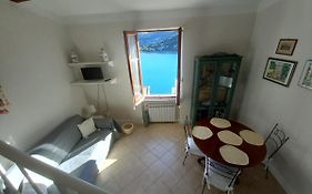 Vittoria 19